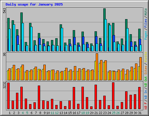 Daily usage for January 2025