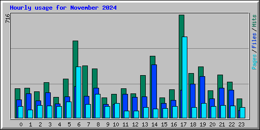 Hourly usage for November 2024