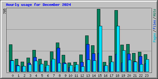 Hourly usage for December 2024