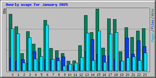 Hourly usage for January 2025