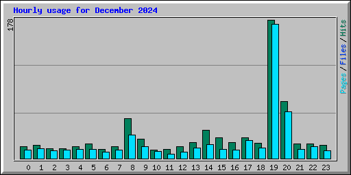 Hourly usage for December 2024